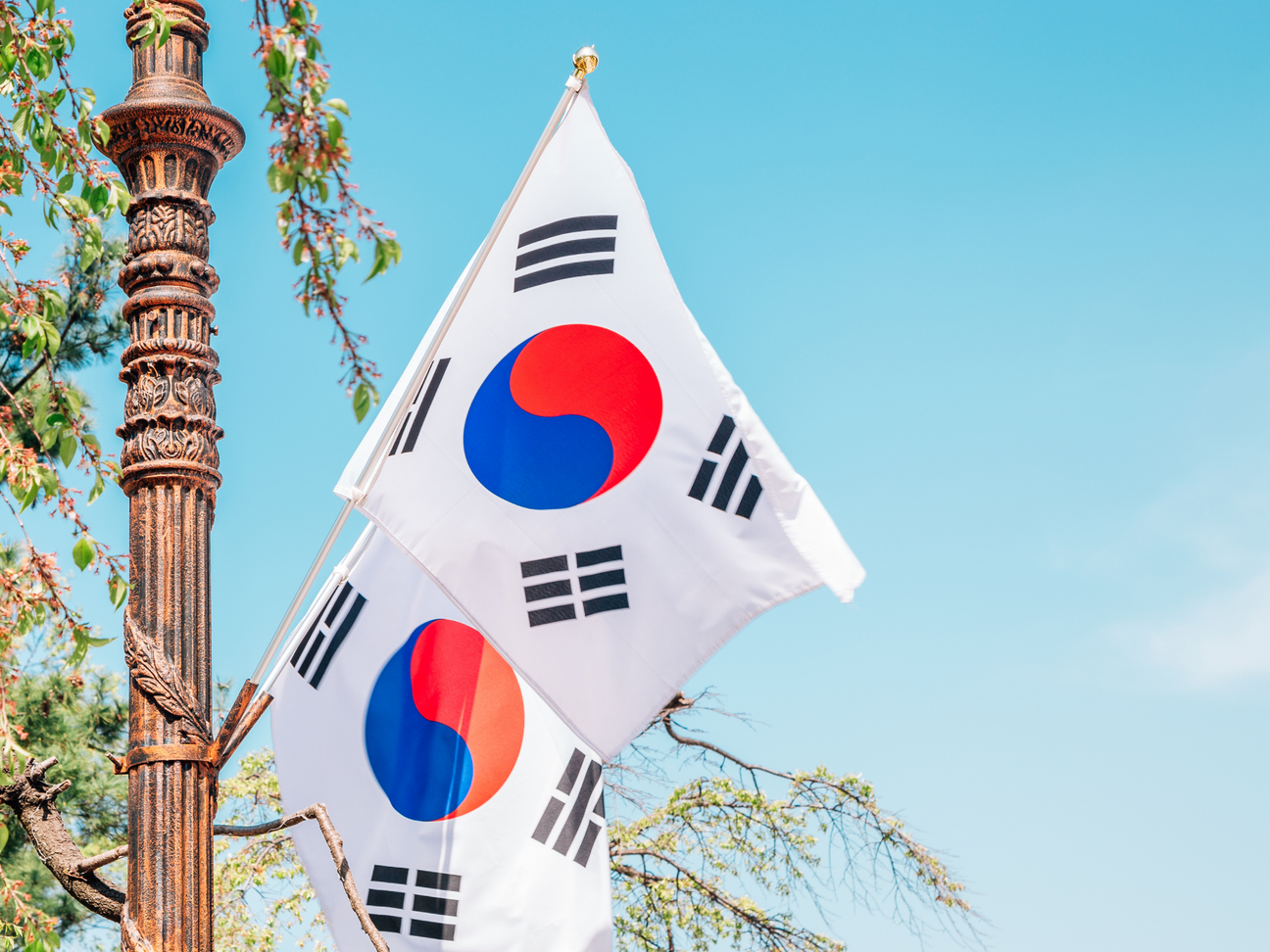 Lo que debes saber acerca de la Bandera de Corea del Sur