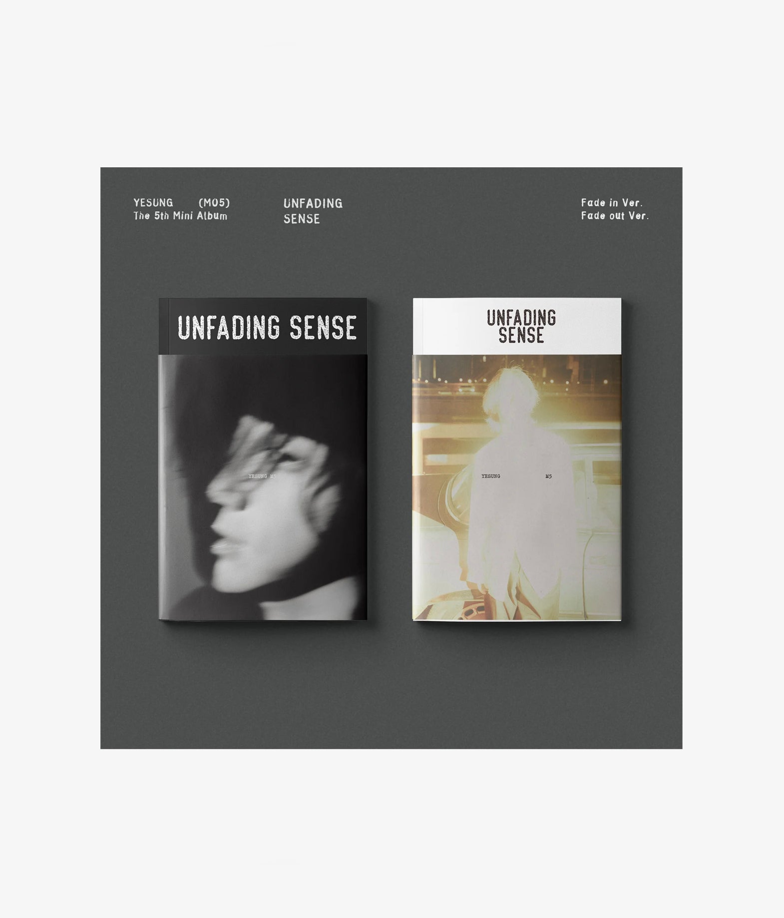 Super Junior - Yesung: Unfading Sense