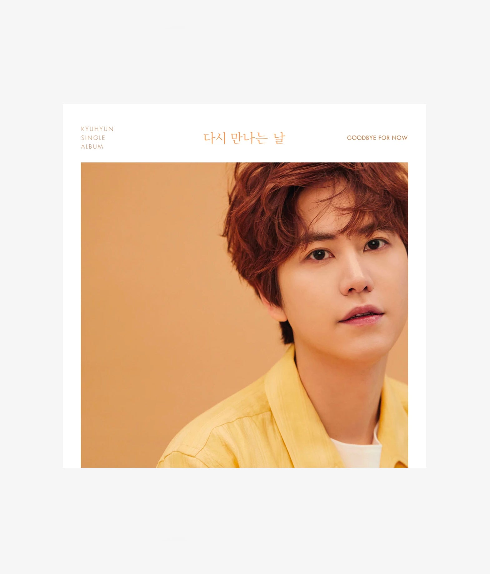 Super Junior - KyuHyun: The Day We Meet Again