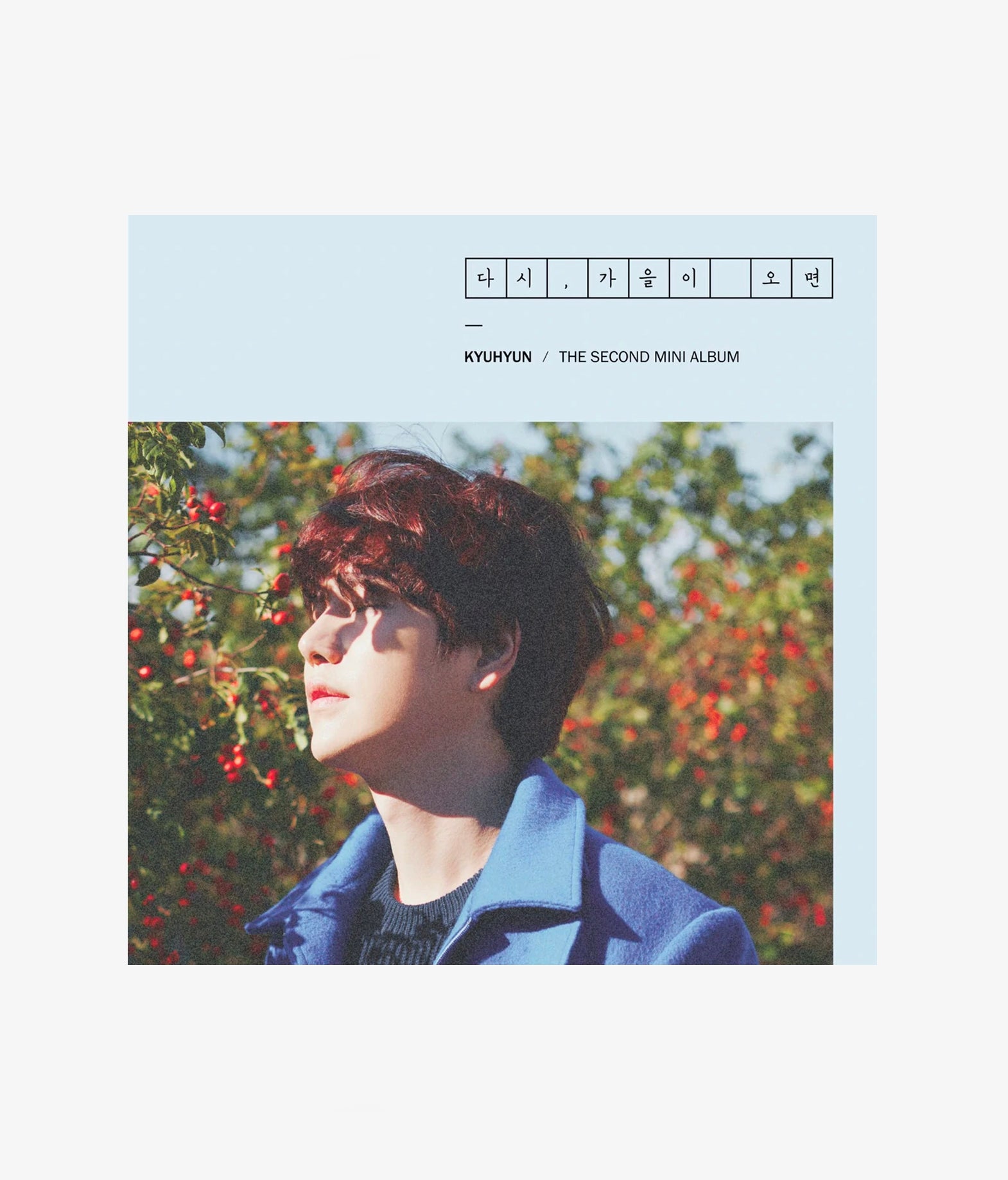 Super Junior - KyuHyun: Fall, Once Again